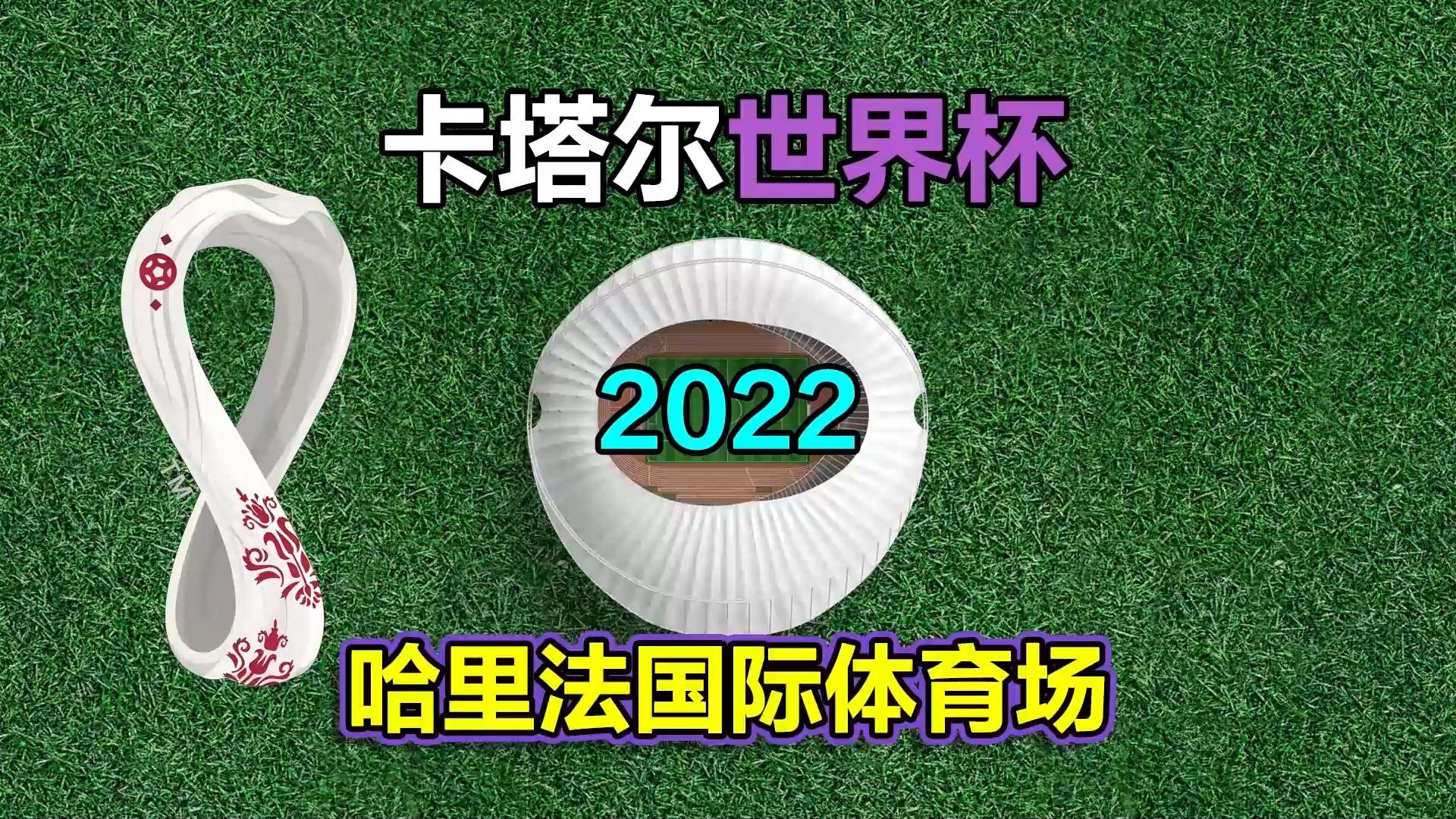 卡塔尔射箭选手壮举惊呆观众