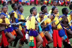 关于斯威士兰长枪，蜿蜒追赶欧国联半决赛梦的信息