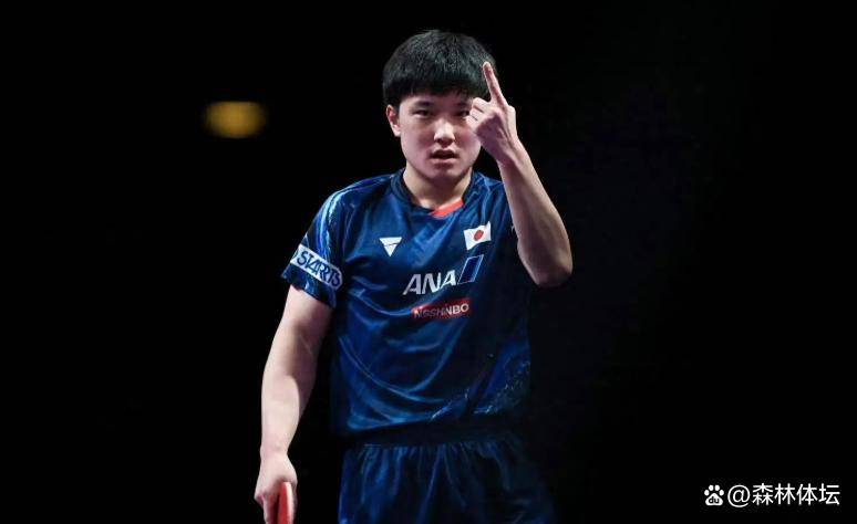 葡萄牙队轻取中国队，张本智和高光表现的简单介绍