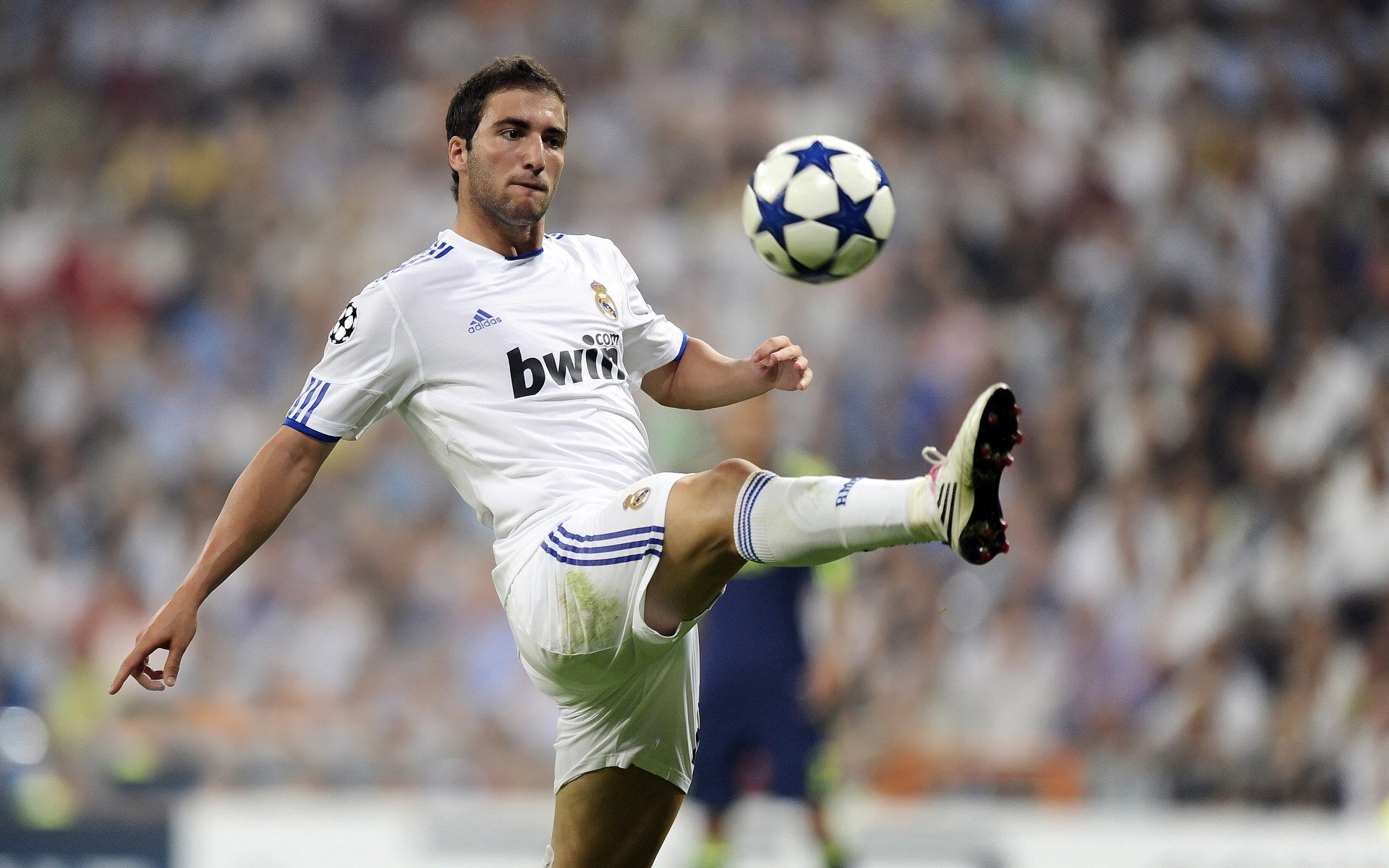 世俱杯分组-NBA季后赛的欧洲内战，加索尔兄弟隔空致敬西班牙碾压乌克兰？