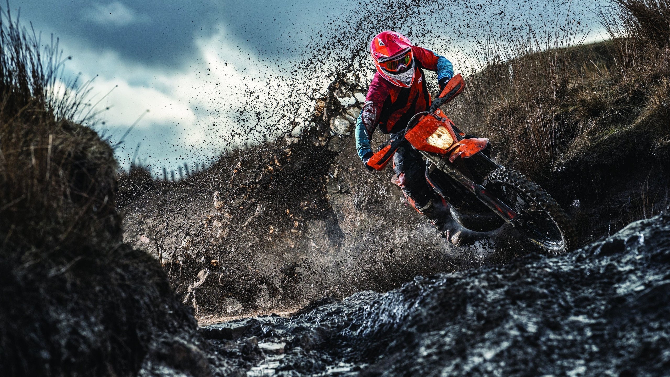 燃烧的默契，当德国战车遇上藏獒之吼